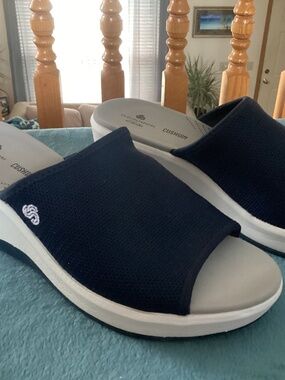 Clark’s Cloudsteppers